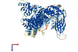 AlphaFold protein structure predicition of Mouse Recombinant Pik3cd Protein, UniprotID O35904