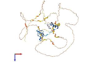 AlphaFold protein structure predicition of Human Recombinant GATA2 Protein, UniprotID P23769