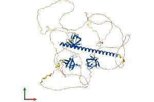 AlphaFold protein structure predicition of Human Recombinant SH3KBP1 Protein, UniprotID Q96B97