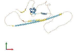 AlphaFold protein structure predicition of Human Recombinant SREK1 Protein, UniprotID Q8WXA9