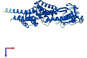 AlphaFold protein structure predicition of Mouse Recombinant Ttc5 Protein, UniprotID Q99LG4