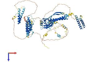 AlphaFold protein structure predicition of Mouse Recombinant Cc2d1b Protein, UniprotID Q8BRN9