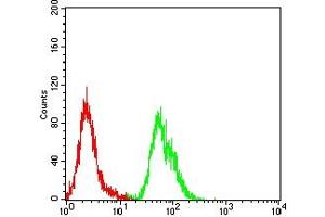 Flow cytometric analysis of Hela cells using ATR mouse mAb (green) and negative control (red).