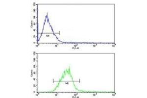 PIN1 antibody FACS analysis of MCF-7 cells (green)
