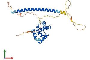AlphaFold protein structure predicition of Mouse Recombinant Ccdc106 Protein, UniprotID Q3ULM0