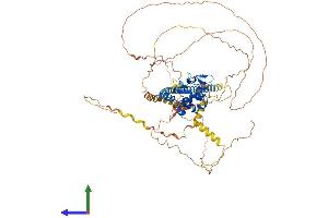 AlphaFold protein structure predicition of Human Recombinant TSPYL2 Protein, UniprotID Q9H2G4