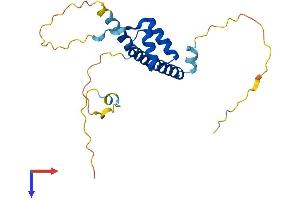 AlphaFold protein structure predicition of Human Recombinant LBX2 Protein, UniprotID Q6XYB7