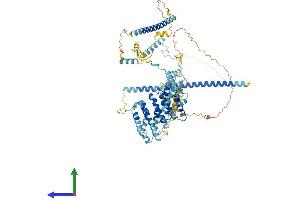 AlphaFold protein structure predicition of Mouse Recombinant Nop14 Protein, UniprotID Q8R3N1