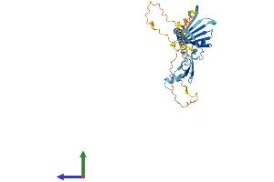 AlphaFold protein structure predicition of Human Recombinant TNMD Protein, UniprotID Q9H2S6