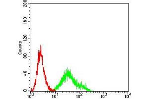 Flow cytometric analysis of Ramos cells using CD167 mouse mAb (green) and negative control (red).