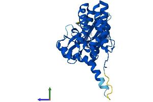 AlphaFold protein structure predicition of Human Recombinant FN3KRP Protein, UniprotID Q9HA64