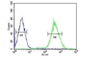 FOXP3 antibody flow cytometric analysis of HepG2 cells (right histogram) compared to negative control cells (left histogram).