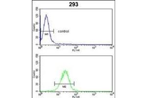 CYP3A5 Antibody (Center) (ABIN652394 and ABIN2841919) flow cytometric analysis of 293 cells (bottom histogram) compared to a negative control cell (top histogram).
