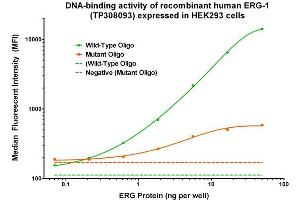 Bioactivity measured with Activity Assay