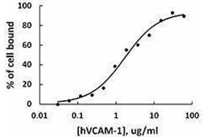 ELISA image for Vascular Cell Adhesion Molecule 1 (VCAM1) (AA 25-698), (C-Term) (Active) protein (Fc Tag) (ABIN2666869)