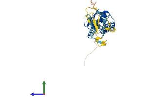 AlphaFold protein structure predicition of Human Recombinant KCTD4 Protein, UniprotID Q8WVF5