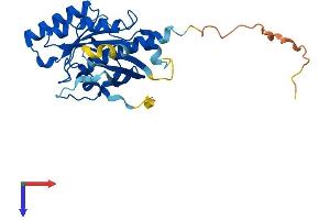 AlphaFold protein structure predicition of Mouse Recombinant Rab36 Protein, UniprotID Q8CAM5