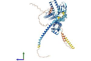 AlphaFold protein structure predicition of Mouse Recombinant Cnga1 Protein, UniprotID P29974