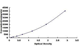 Hexokinase 1 (HK1) ELISA Kit
