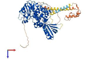 AlphaFold protein structure predicition of Human Recombinant MTMR8 Protein, UniprotID Q96EF0