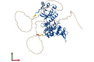 AlphaFold protein structure predicition of Human Recombinant DYRK3 Protein, UniprotID O43781