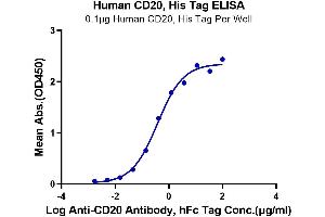 Immobilized CD20, His Tag at 1 μg/mL (100 μL/well) on the plate.