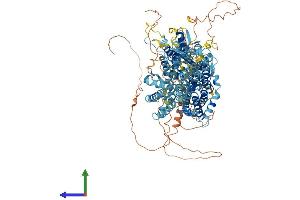 AlphaFold protein structure predicition of Mouse Recombinant Slc4a4 Protein, UniprotID O88343