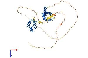 AlphaFold protein structure predicition of Human Recombinant POU4F3 Protein, UniprotID Q15319