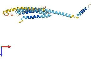 AlphaFold protein structure predicition of Mouse Recombinant Stx8 Protein, UniprotID O88983