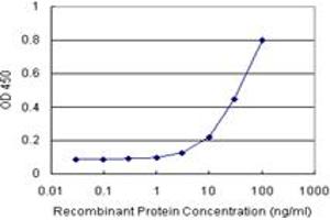 Sandwich ELISA detection sensitivity ranging from 3 ng/mL to 100 ng/mL. (BATF (Humain) Matched Antibody Pair)