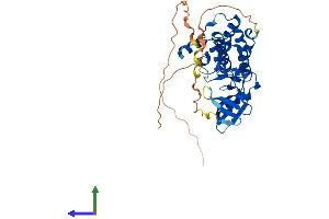 AlphaFold protein structure predicition of Human Recombinant TRIB3 Protein, UniprotID Q96RU7