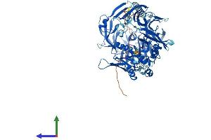 AlphaFold protein structure predicition of Mouse Recombinant Dpp10 Protein, UniprotID Q6NXK7