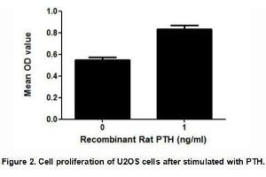 PTH (Parathyroid hormone) is a hormone secreted by the parathyroid glands that is important in bone remodeling.