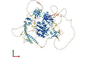 AlphaFold protein structure predicition of Human Recombinant INPPL1 Protein, UniprotID O15357