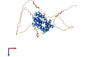 AlphaFold protein structure predicition of Human Recombinant MTX1 Protein, UniprotID Q13505