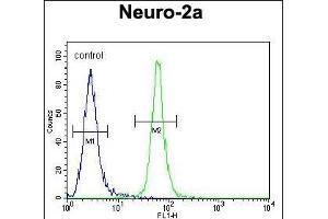 TMEM65 Antibody (N-term) (ABIN654318 and ABIN2844101) flow cytometric analysis of Neuro-2a cells (right histogram) compared to a negative control cell (left histogram). (TMEM65 anticorps  (N-Term))