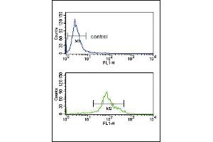 Flow cytometry analysis of K562 cells (bottom histogram) compared to a negative control cell (top histogram). (HSD17B3 anticorps  (AA 89-118))
