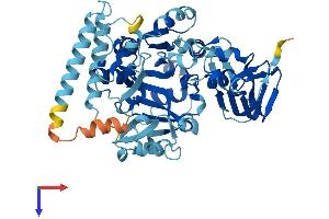 AlphaFold protein structure predicition of Human Recombinant UGP2 Protein, UniprotID Q16851
