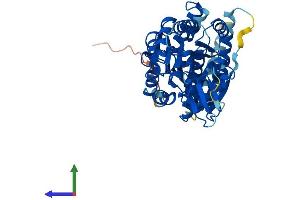 AlphaFold protein structure predicition of Mouse Recombinant Alg1 Protein, UniprotID Q921Q3