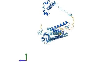 AlphaFold protein structure predicition of Human Recombinant MNAT1 Protein, UniprotID P51948