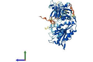 AlphaFold protein structure predicition of Mouse Recombinant Cpne5 Protein, UniprotID Q8JZW4