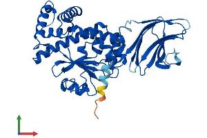 AlphaFold protein structure predicition of Mouse Recombinant Sec14l2 Protein, UniprotID Q99J08