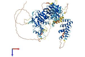 AlphaFold protein structure predicition of Mouse Recombinant Dgkz Protein, UniprotID Q80UP3