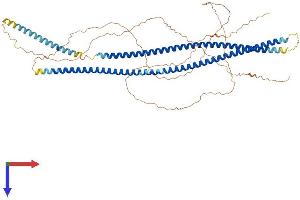 AlphaFold protein structure predicition of Human Recombinant KRT76 Protein, UniprotID Q01546