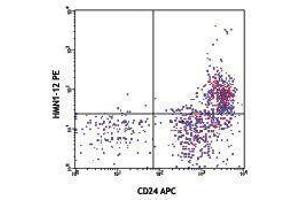 Flow Cytometry (FACS) image for anti-Notch 1 (NOTCH1) antibody (PE) (ABIN2663854)