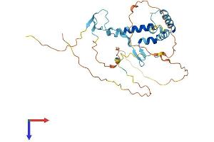 AlphaFold protein structure predicition of Mouse Recombinant Spry4 Protein, UniprotID Q9WTP2