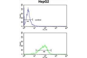 Flow Cytometry (FACS) image for anti-Glycerol-3-Phosphate Dehydrogenase 1 (Soluble) (GPD1) antibody (ABIN3003779)