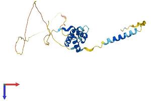AlphaFold protein structure predicition of Mouse Recombinant Tgif2 Protein, UniprotID Q8C0Y1