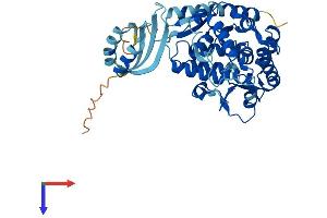 AlphaFold protein structure predicition of Mouse Recombinant Tph1 Protein, UniprotID P17532