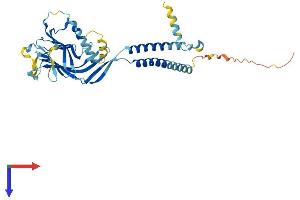 AlphaFold protein structure predicition of Mouse Recombinant Ergic2 Protein, UniprotID Q9CR89